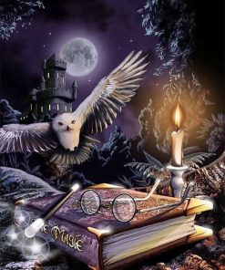 5d Harry Potter Diamond Painting Kit Premium-20