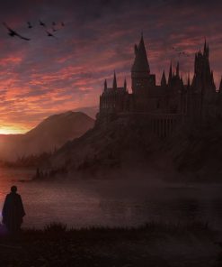 5d Harry Potter Diamond Painting Kit Premium-22