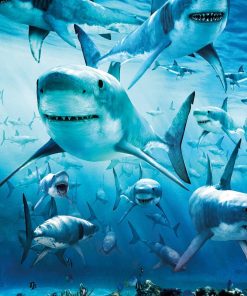 Sharks Animal Diamond Painting Kit - DIY
