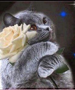 5d Cat Diamond Painting Kit Premium-18