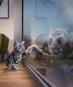 5d Cat Diamond Painting Kit Premium-22