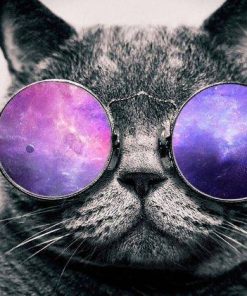 5d Cat Diamond Painting Kit Premium-25