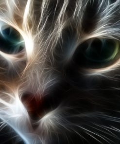 5d Cat Diamond Painting Kit Premium-30