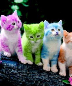 5d Cat Diamond Painting Kit Premium-43