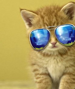 5d Cat Diamond Painting Kit Premium-48