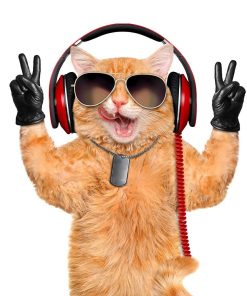 5d Cat Diamond Painting Kit Premium-49