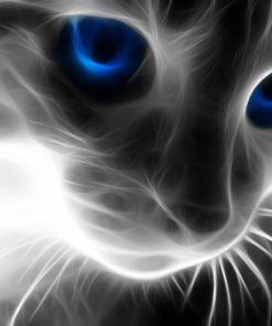 5d Cat Diamond Painting Kit Premium-58