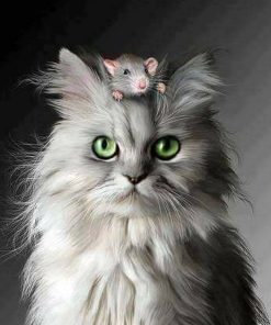 5d Cat Diamond Painting Kit Premium-67