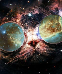 5d Cat Diamond Painting Kit Premium-70