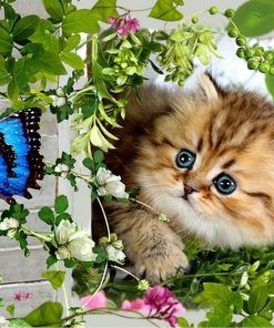 5d Cat Diamond Painting Kit Premium-72