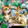 5d Cat Diamond Painting Kit Premium-80