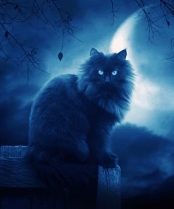 5d Cat Diamond Painting Kit Premium-84